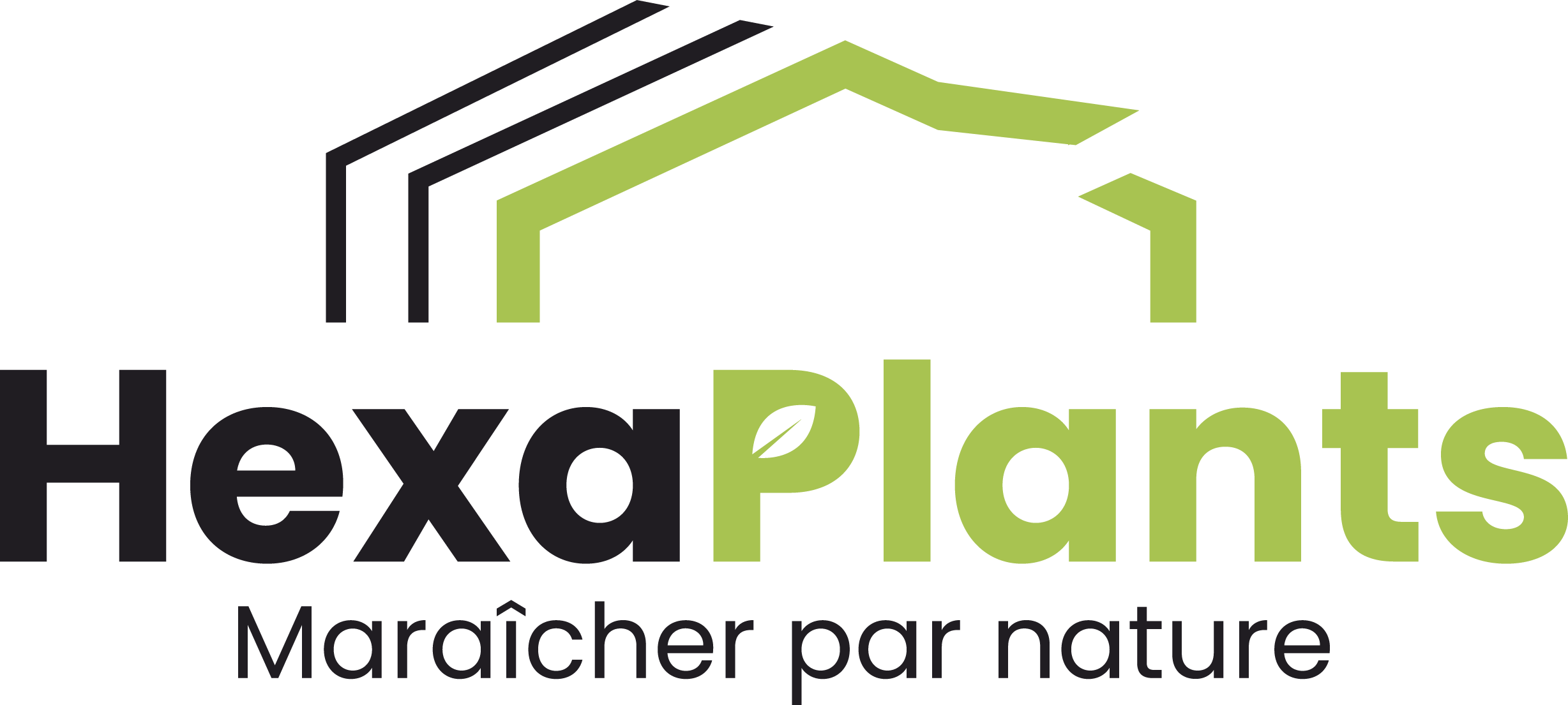 logo-hexaplants